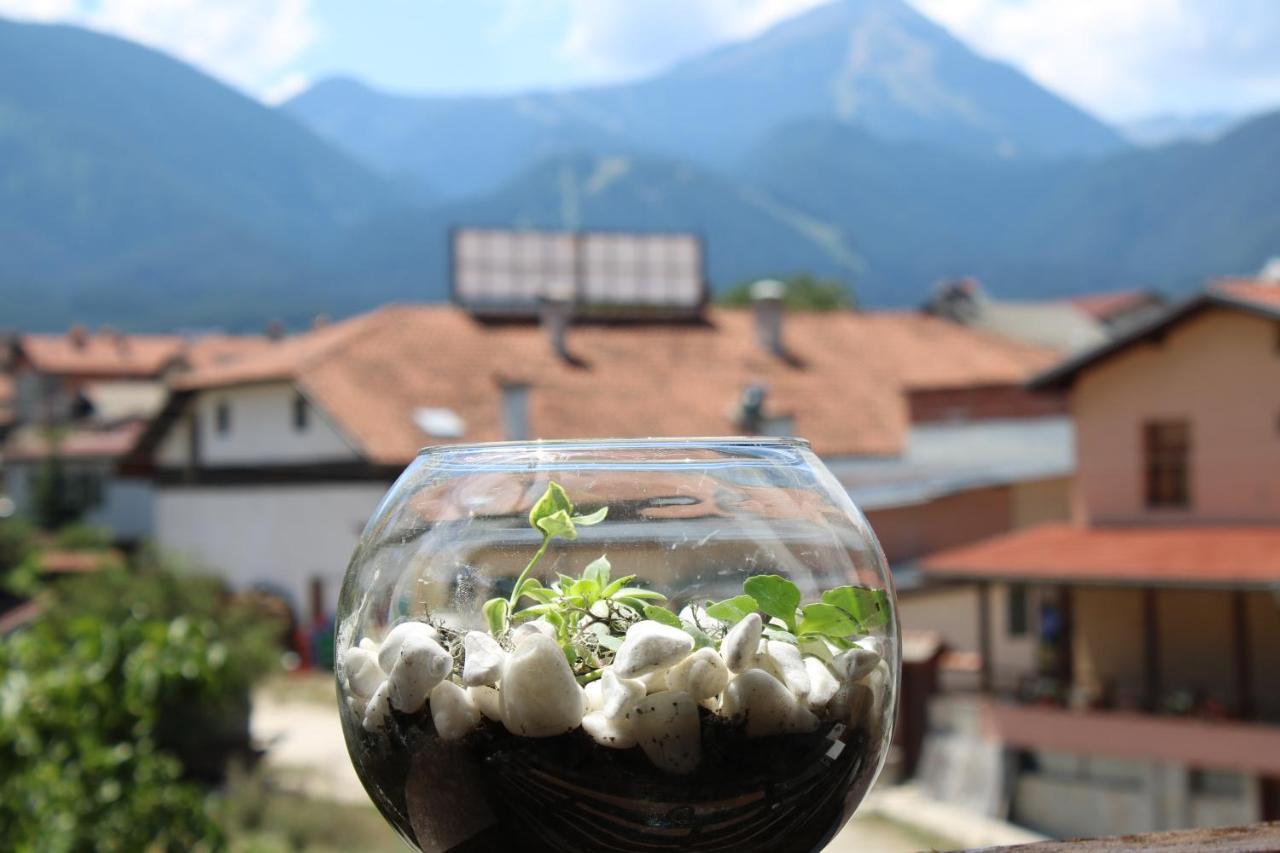 Hotel North Star Bansko Exterior foto