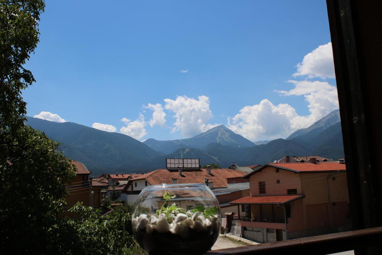 Hotel North Star Bansko Exterior foto